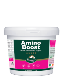 Amino Boost - 3kg