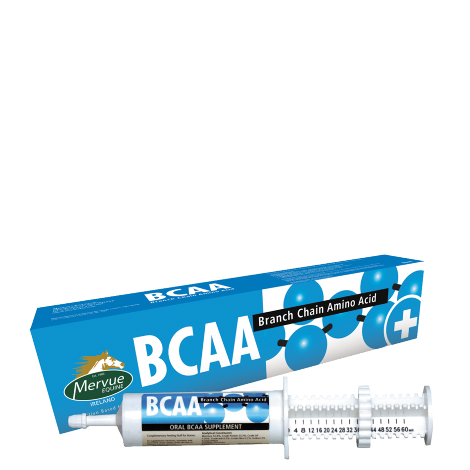 BCAA Supporting muscle recovery un horses Mervue.ie