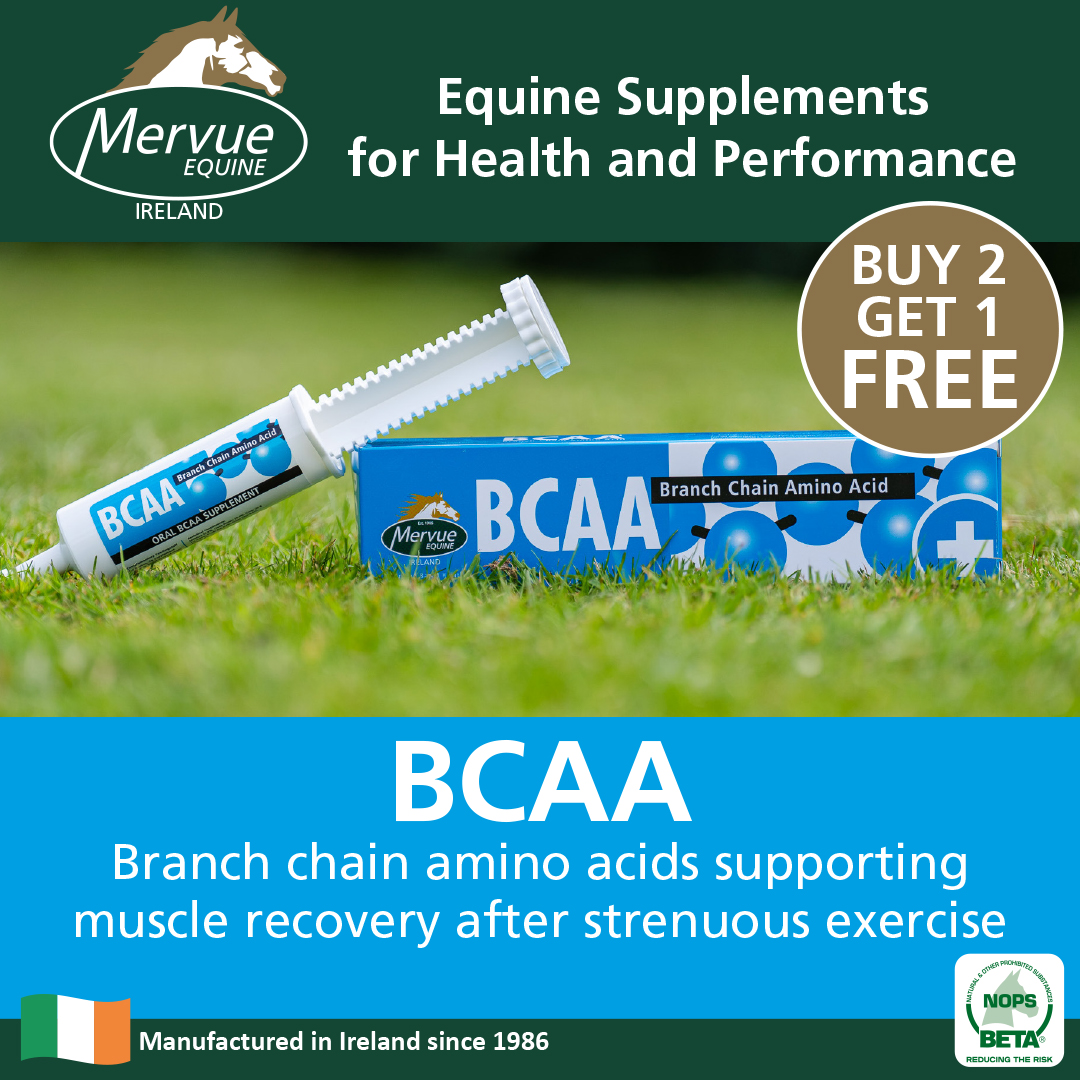 BCAA - 60ml - Image 2