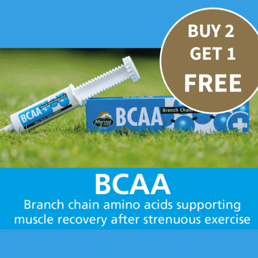 BCAA - 60ml - Image 2