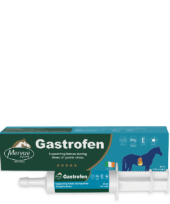 Gastrofen - 80ml