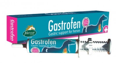 Gastric support for Horses