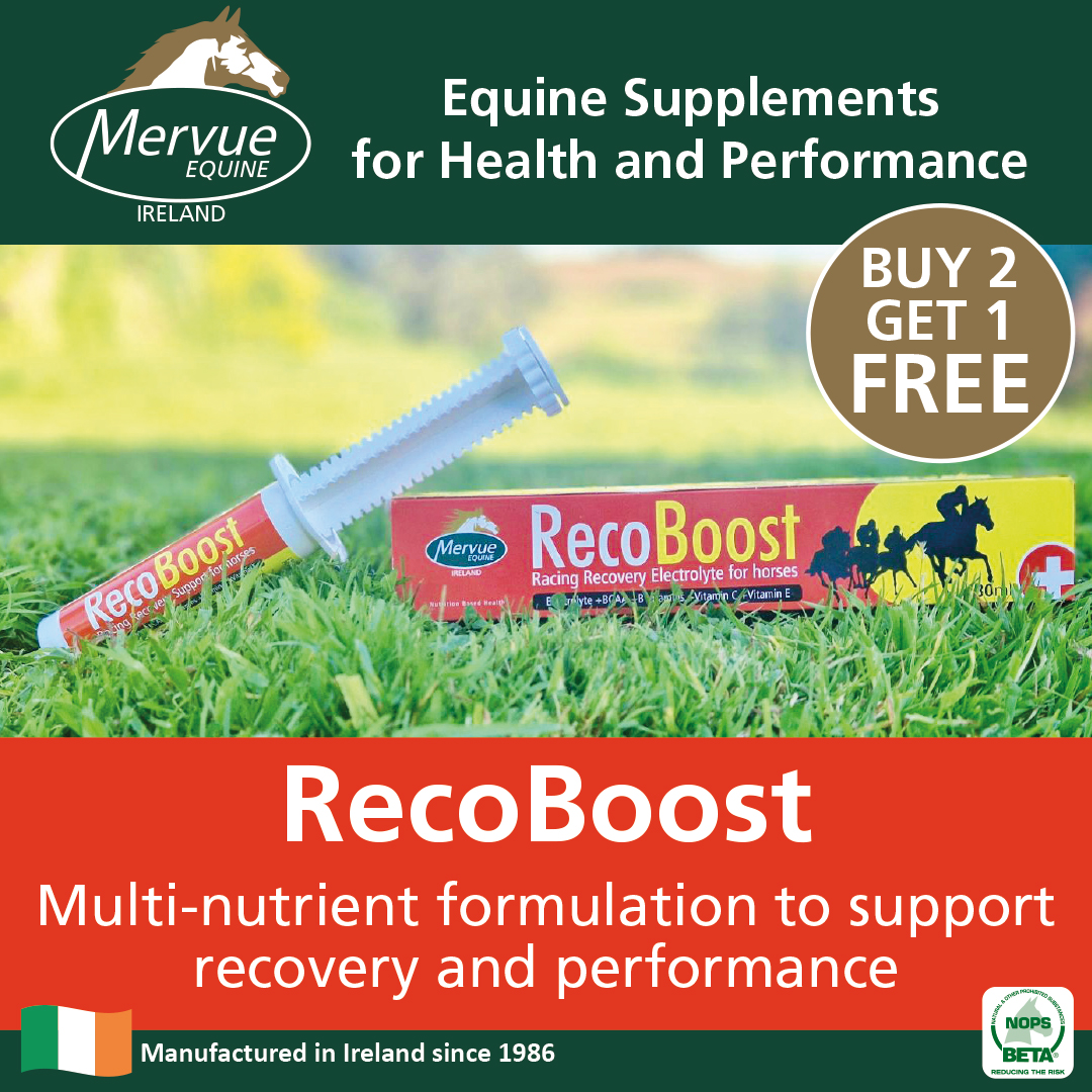 Recoboost - 80ml - Image 2