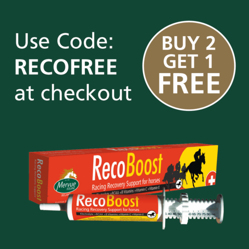Recoboost - 80ml - Image 2