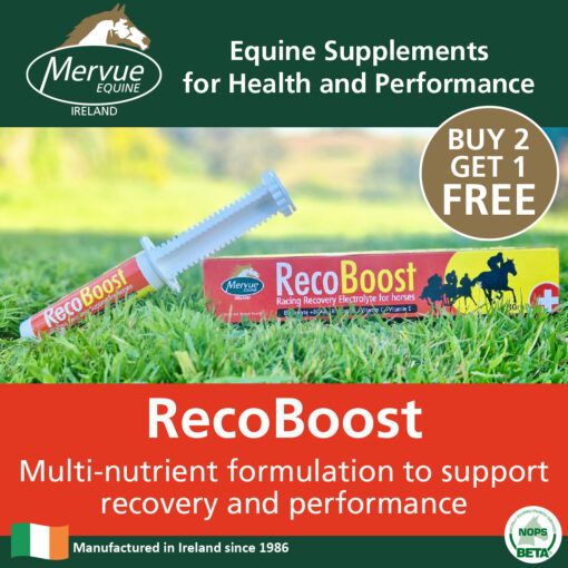 Recoboost - 80ml - Image 2