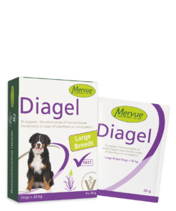 Diagel for Large Breeds - 4x20g - Digestive Support