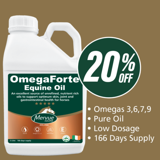 OmegaForte Equine Oil - 5L - Image 3