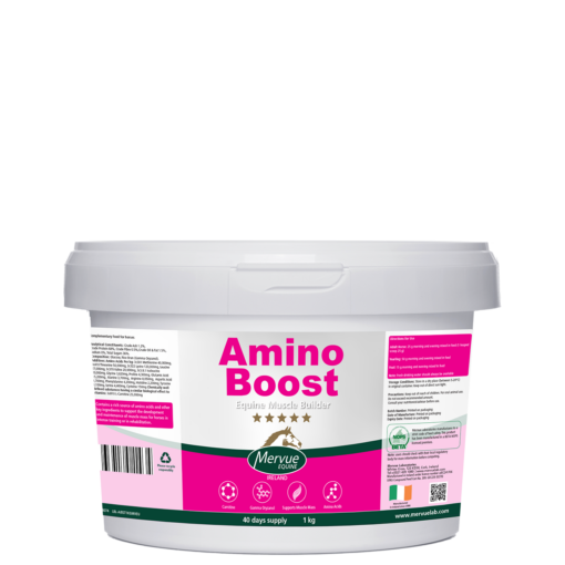 Amino Boost - 1kg