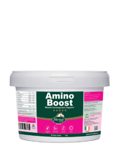 Amino Boost - 1kg