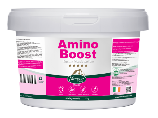 Amino Boost - 1kg