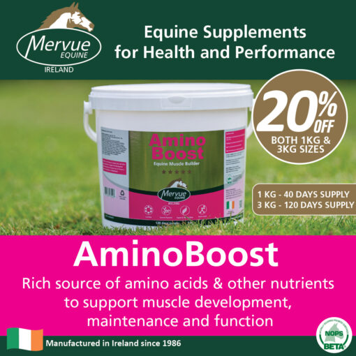 Amino Boost - 1kg - Image 2