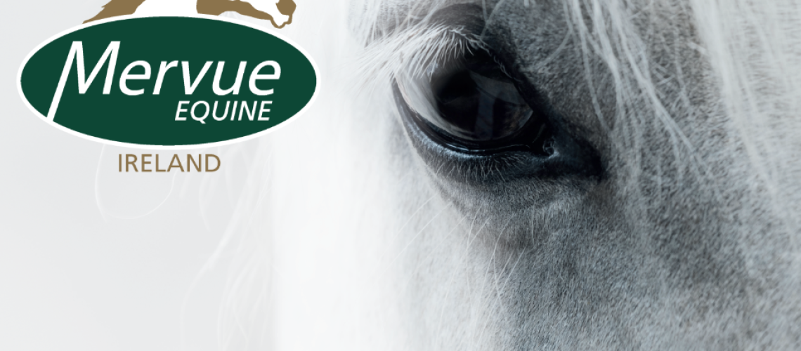 Mervue Equine Irish Sales